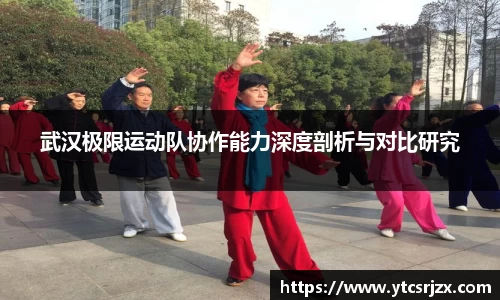 武汉极限运动队协作能力深度剖析与对比研究