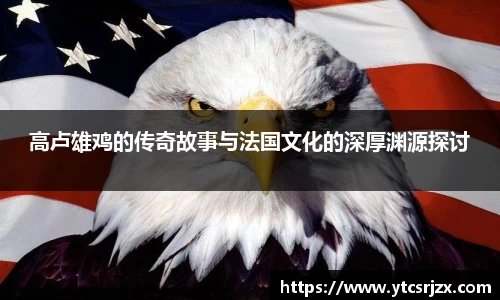 高卢雄鸡的传奇故事与法国文化的深厚渊源探讨